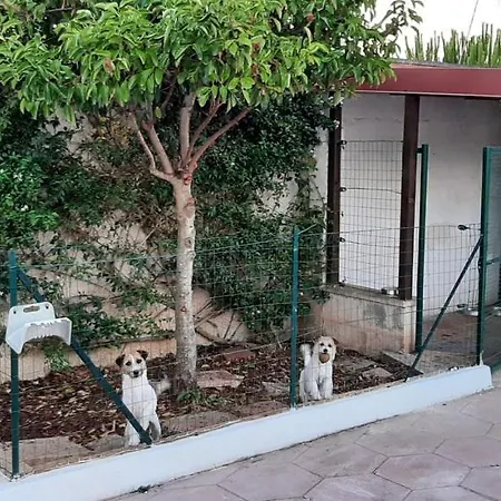 Casa Coppola Дом отдыха Галатоне